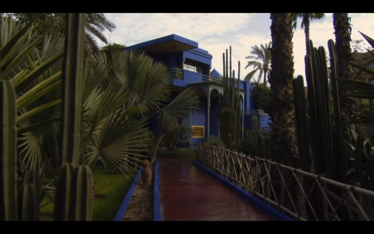 疯狂的爱剧照的剧照