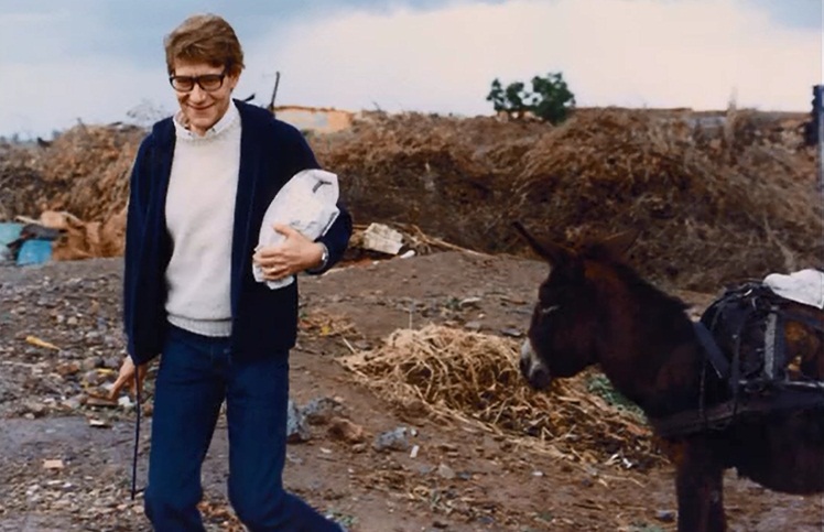 疯狂的爱剧照的剧照