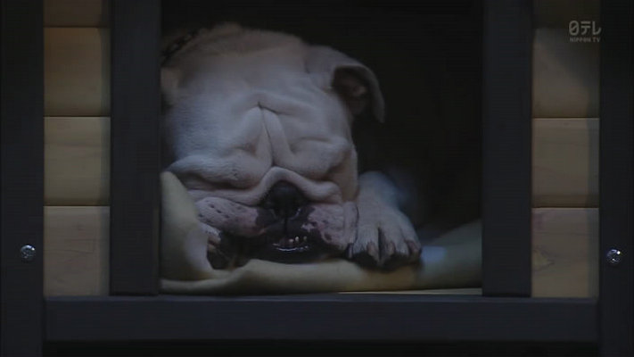 一次邂逅剧照的剧照