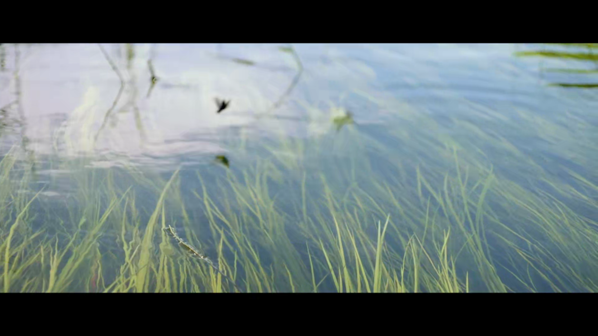 安尼亚拉号剧照的剧照