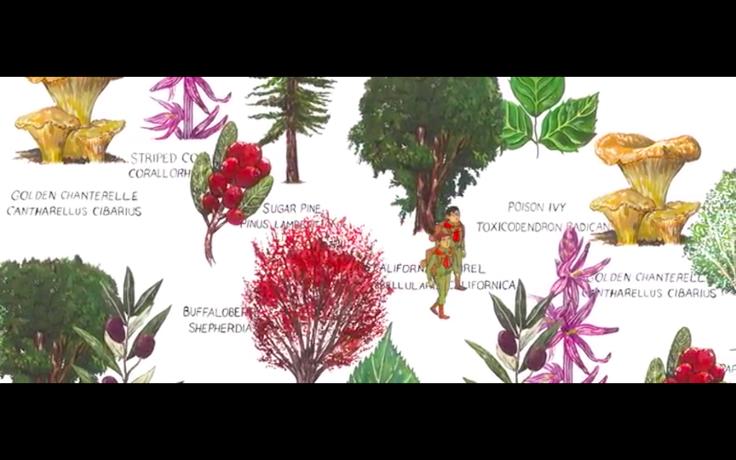 我的整个高中沉到海里了剧照的剧照