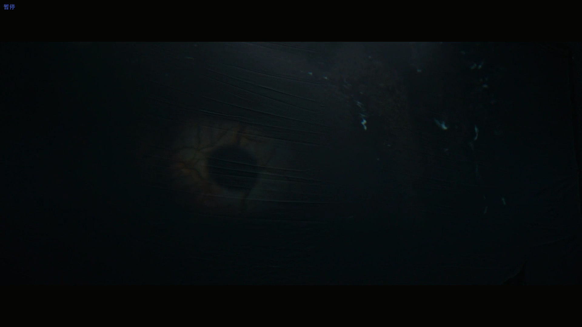 暗战剧照的剧照