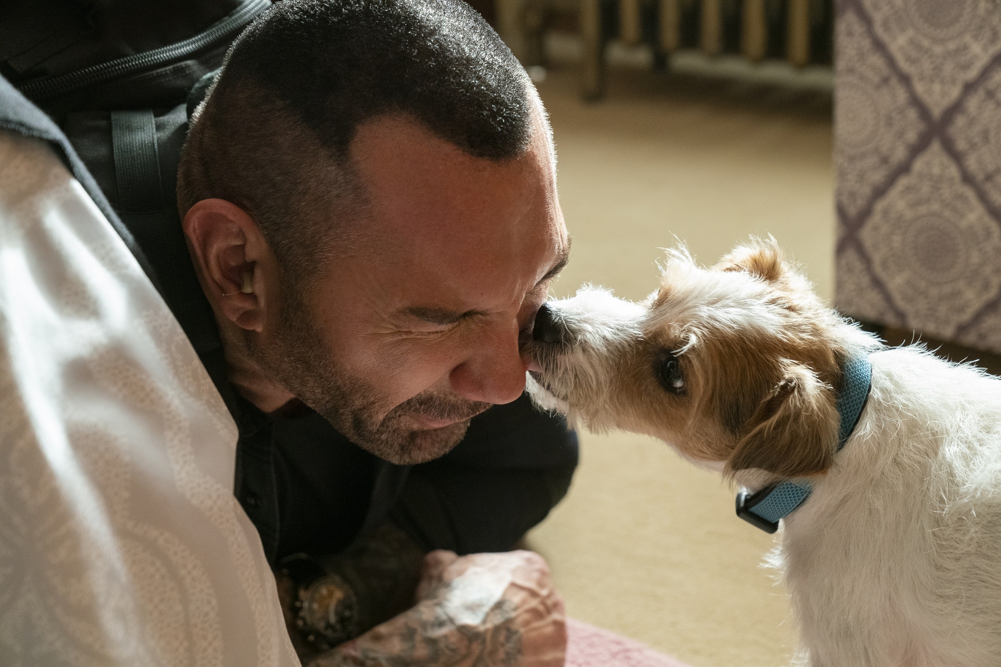 我的间谍剧照的剧照