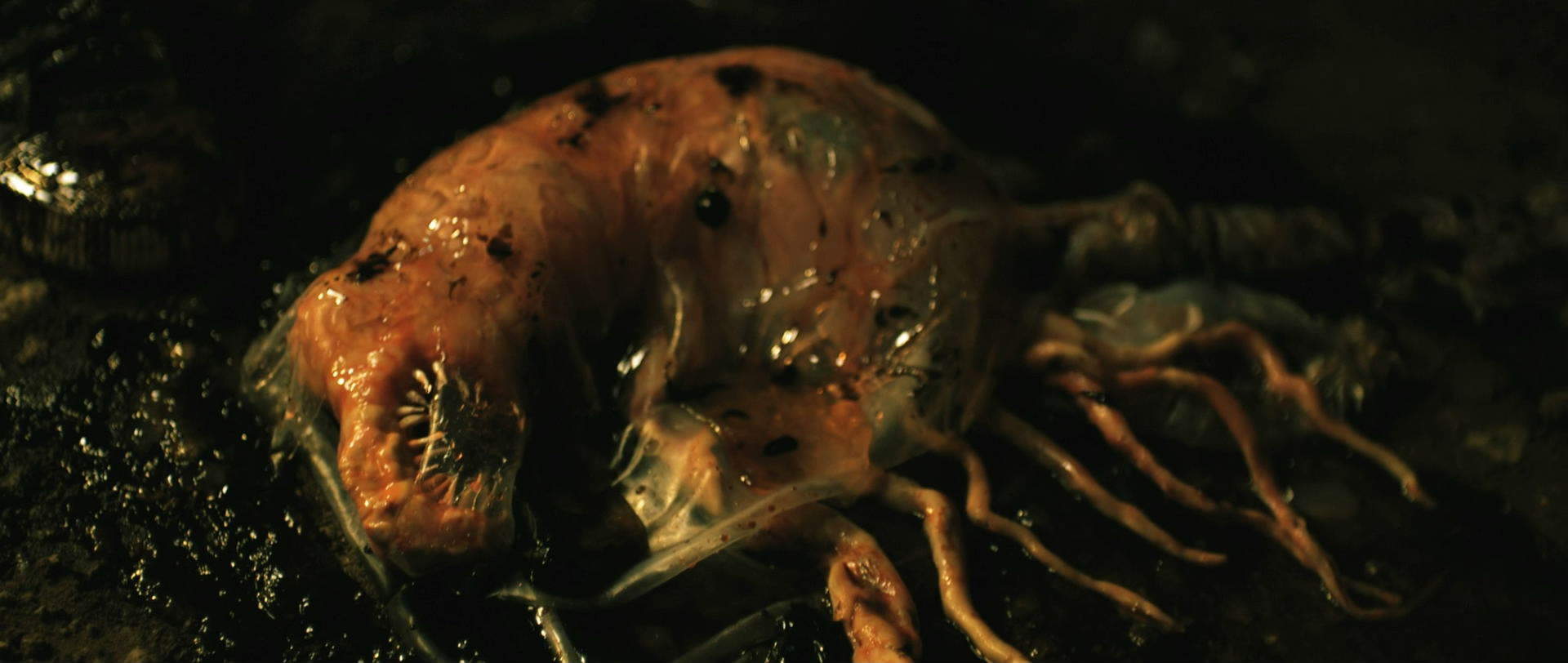 原始恐惧剧照的剧照