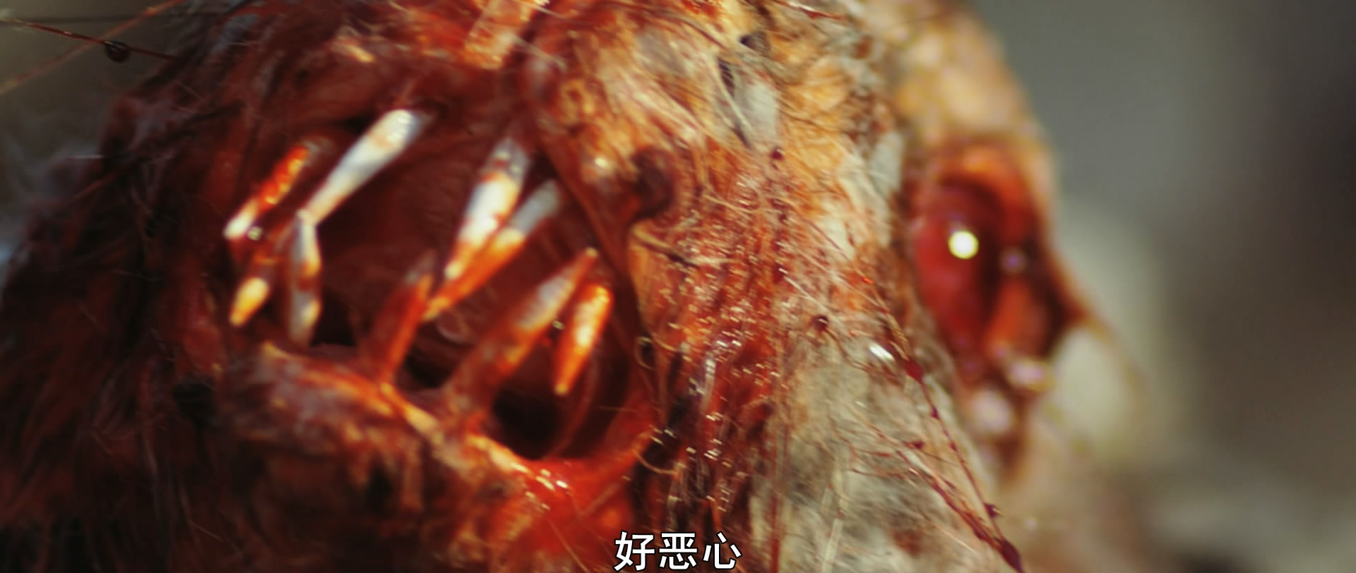 原始恐惧剧照的剧照