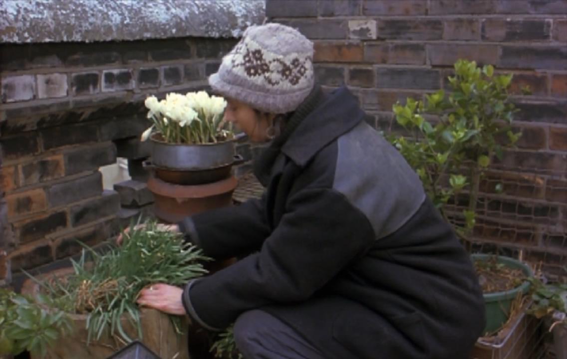 厚望剧照的剧照