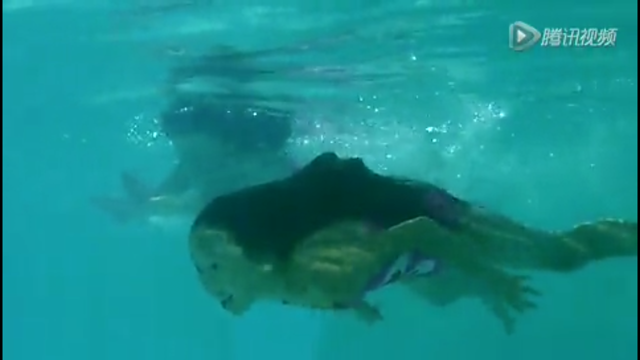 双胞胎姐妹剧照的剧照