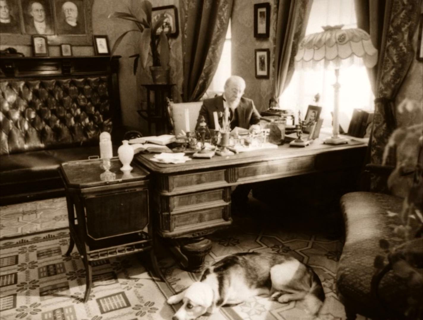 狗心剧照的剧照