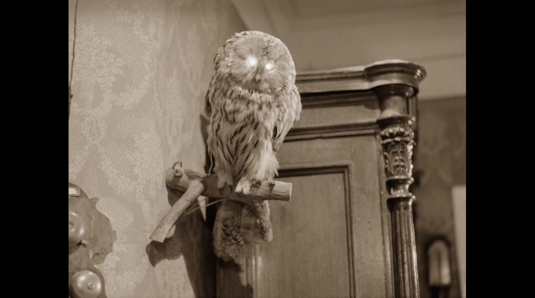 狗心剧照的剧照