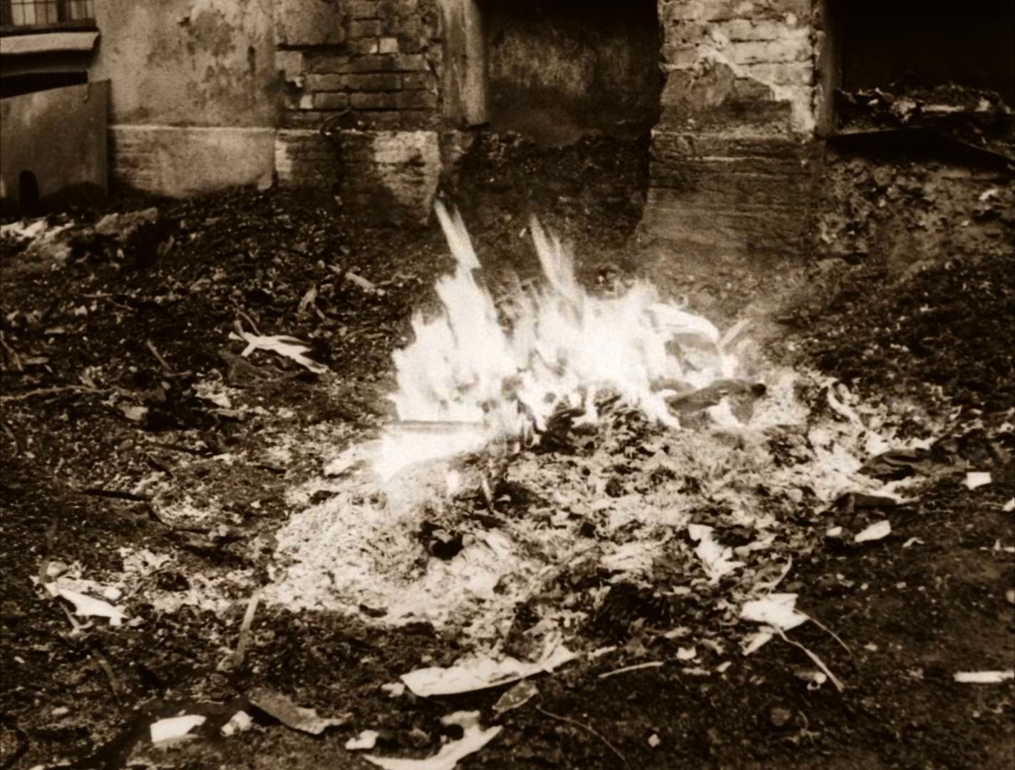 狗心剧照的剧照