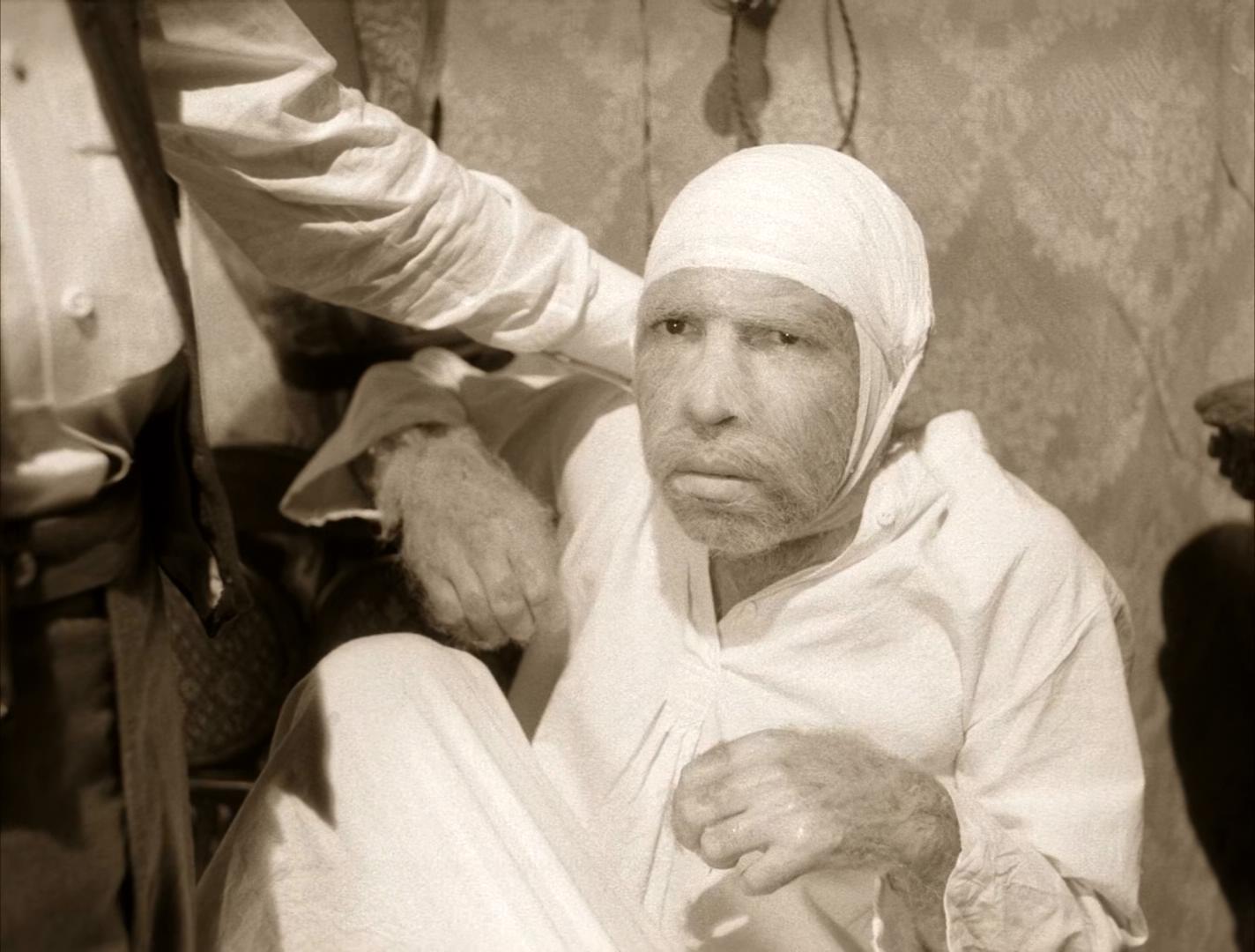 狗心剧照的剧照