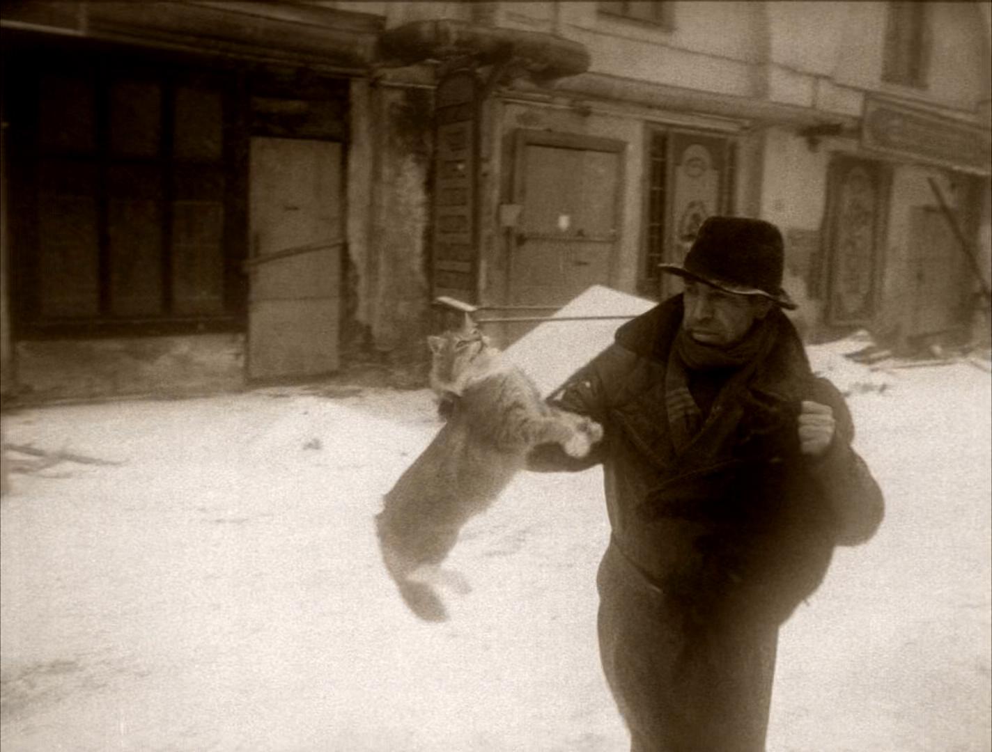 狗心剧照的剧照