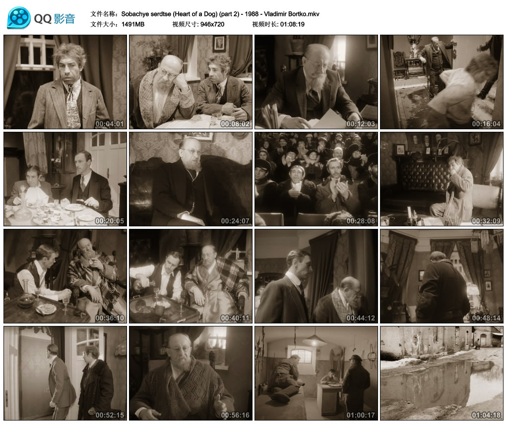 狗心剧照的剧照