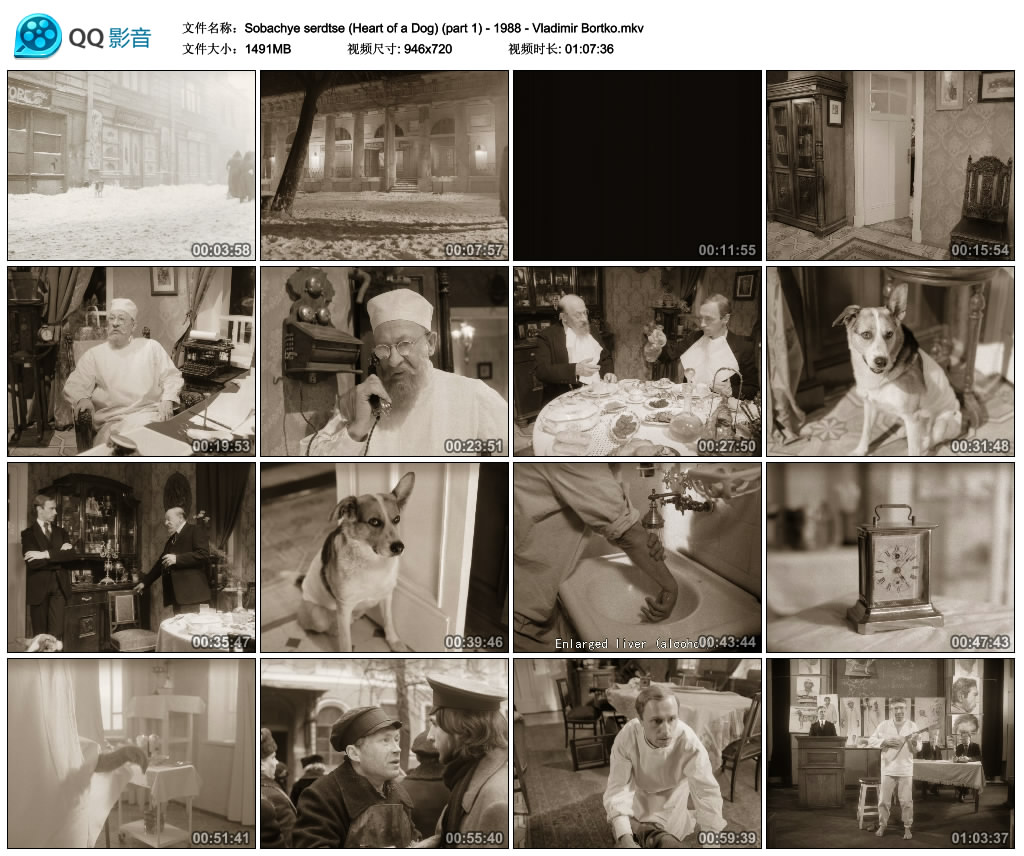 狗心剧照的剧照