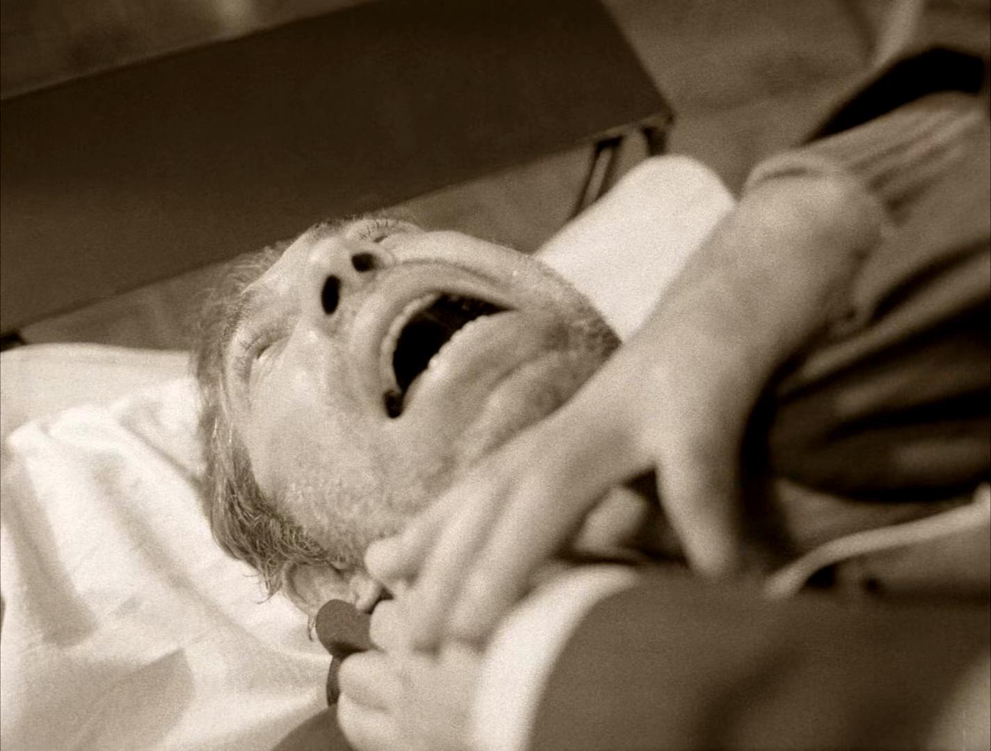 狗心剧照的剧照