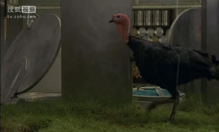 家屋风景剧照的剧照