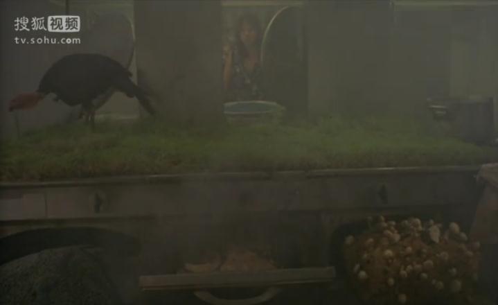 家屋风景剧照的剧照