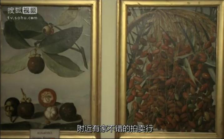 家屋风景剧照的剧照