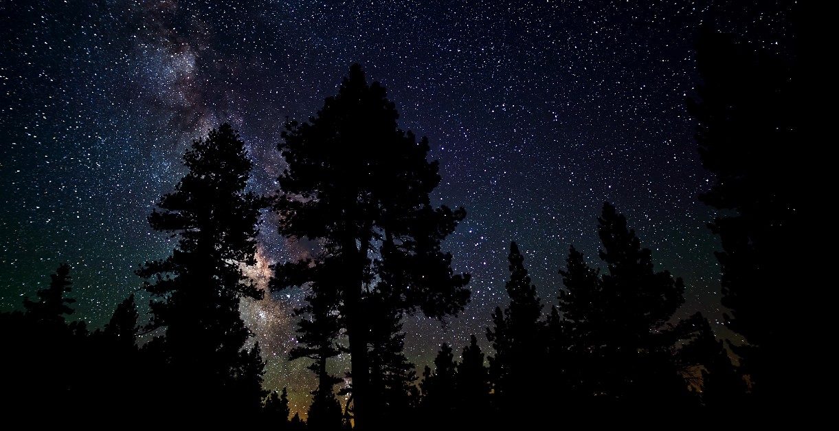 时间的风景剧照的剧照