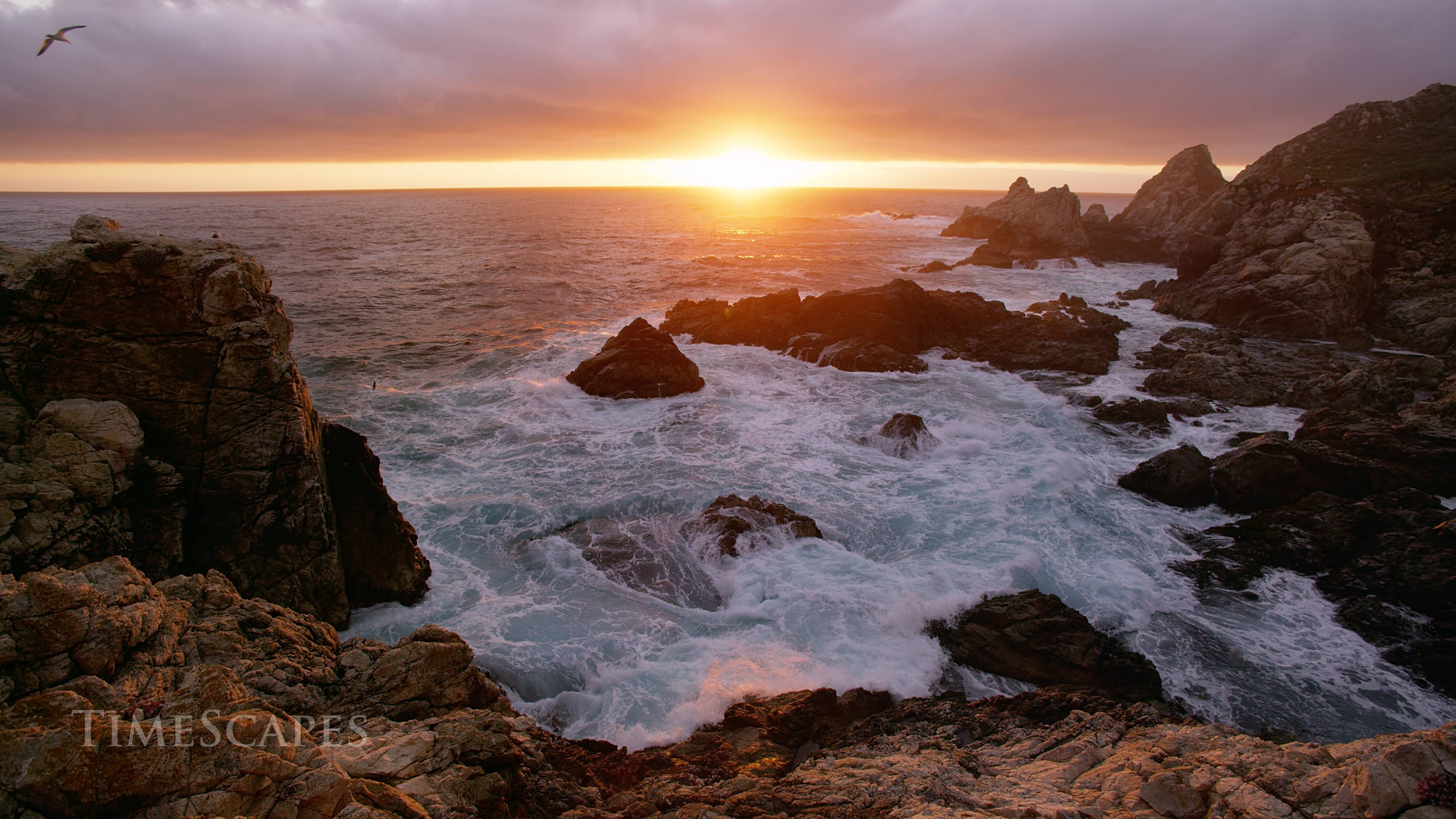 时间的风景剧照的剧照