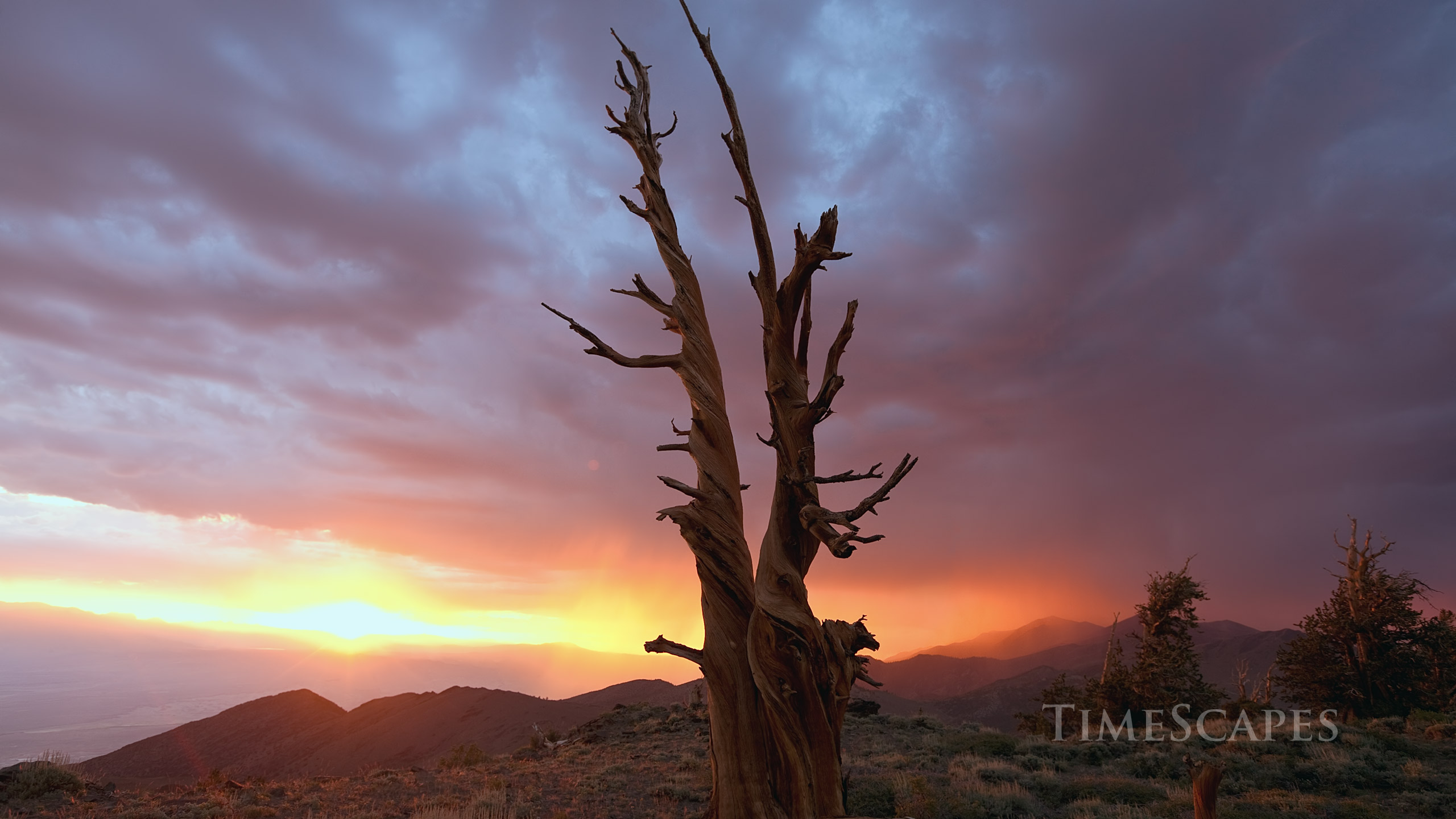 时间的风景剧照的剧照