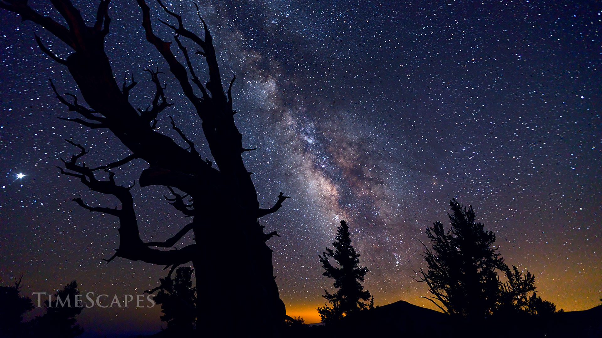 时间的风景剧照的剧照