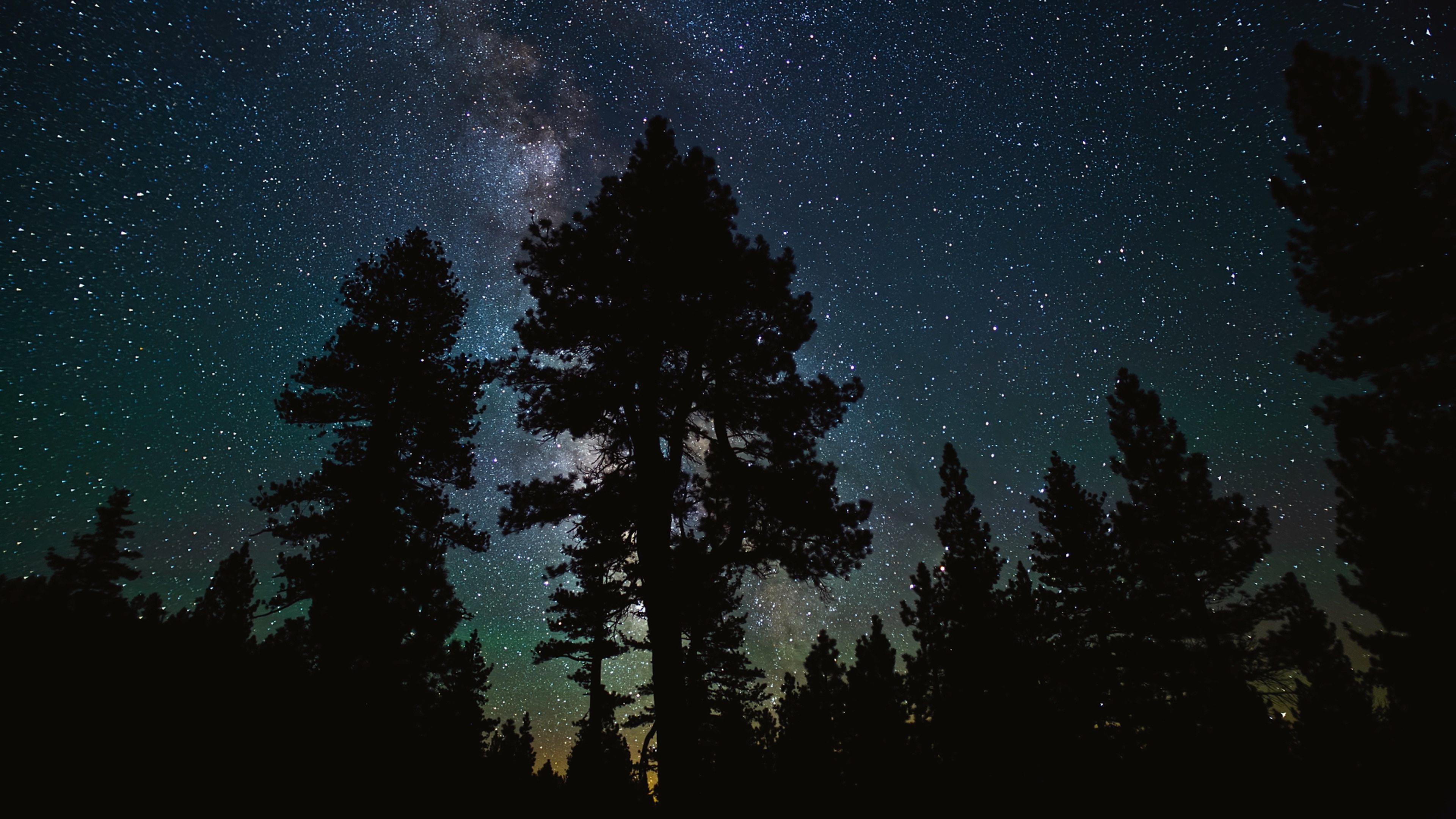 时间的风景剧照的剧照
