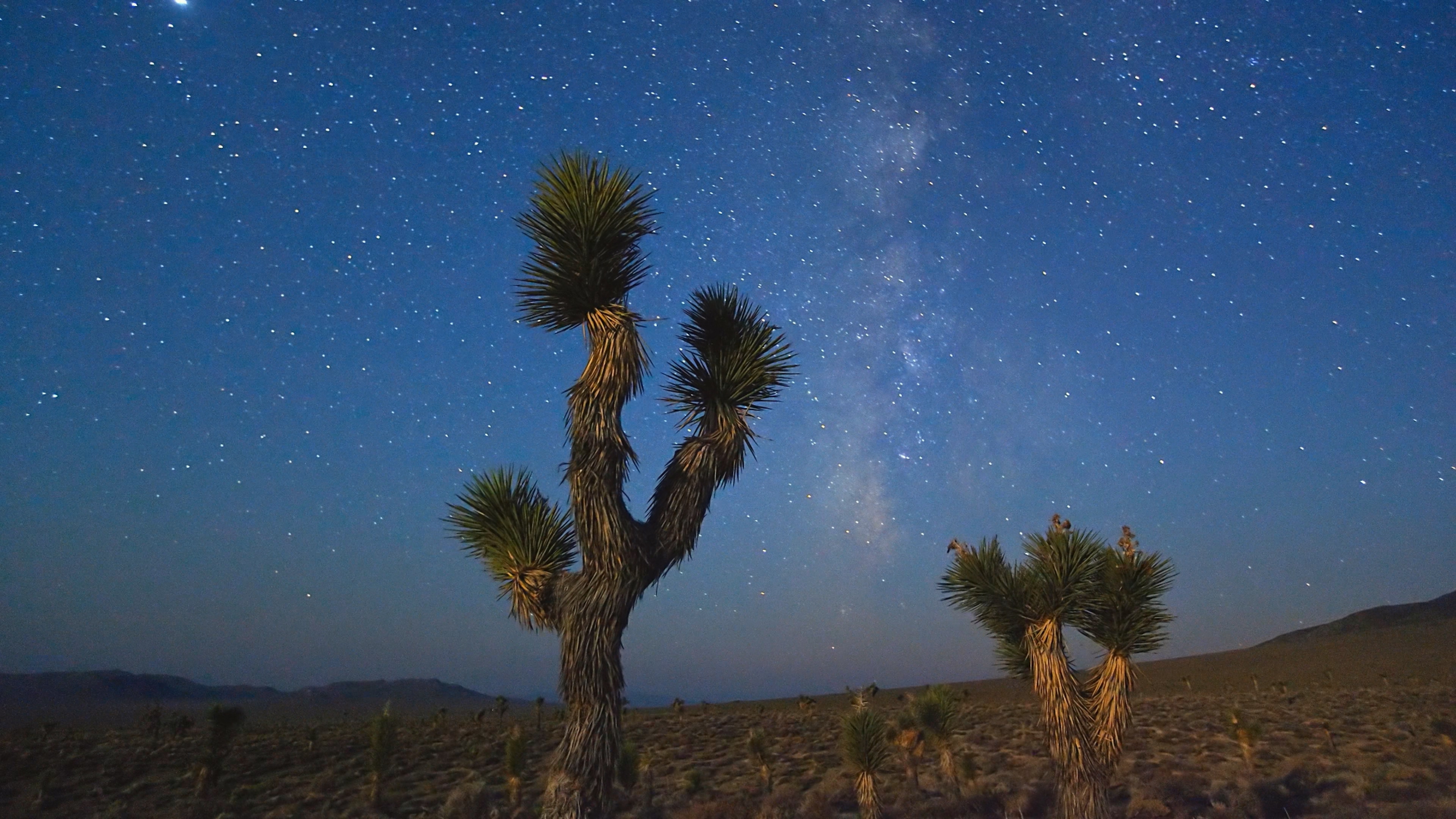 时间的风景剧照的剧照