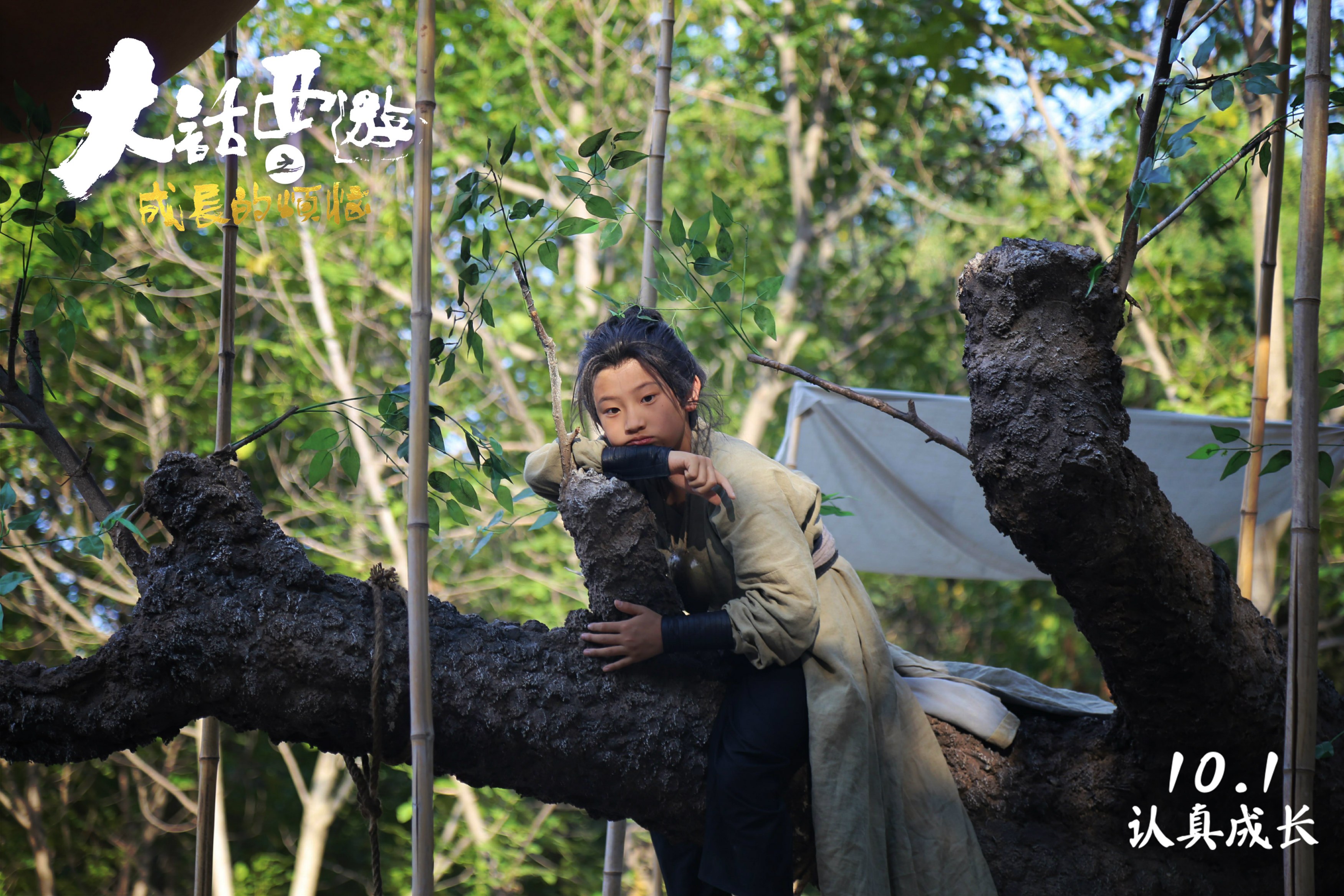 大话西游之成长的烦恼剧照的剧照