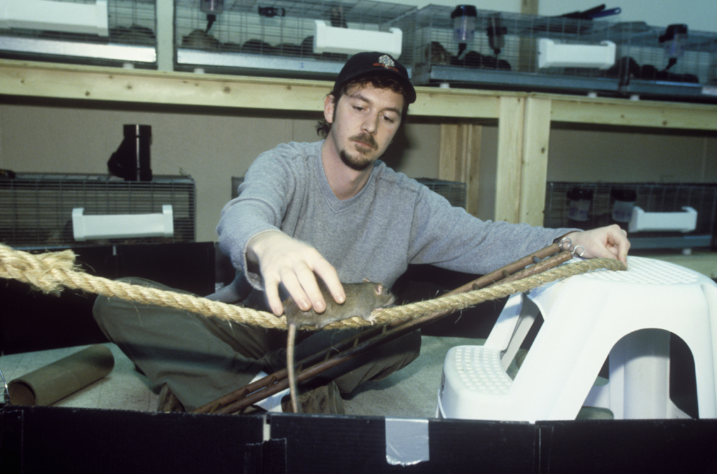 驭鼠怪人剧照的剧照