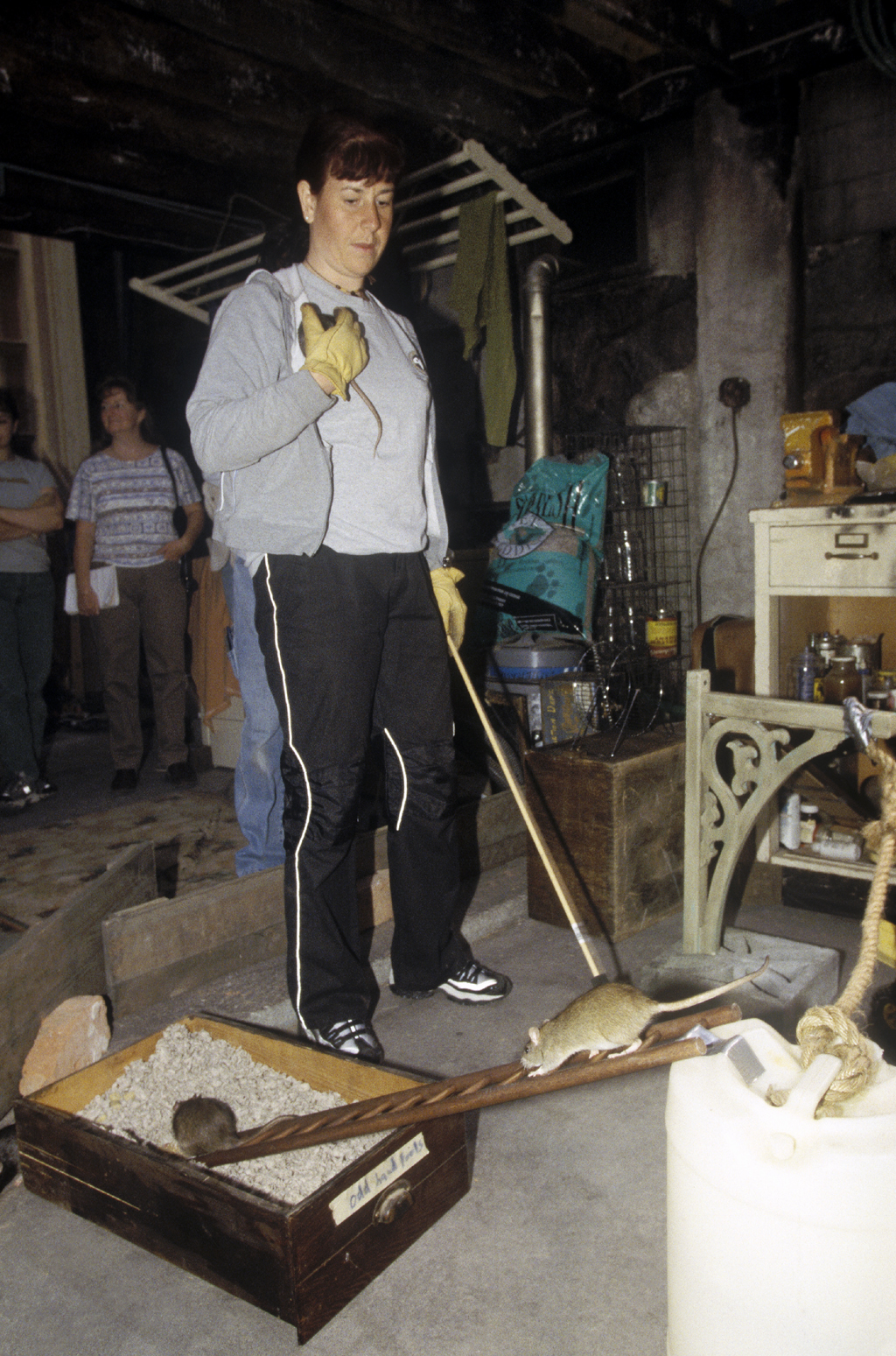 驭鼠怪人剧照的剧照