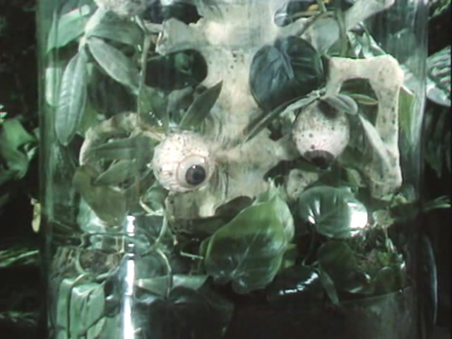 阿黛尔还没吃晚餐剧照的剧照