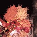 阿黛尔还没吃晚餐剧照