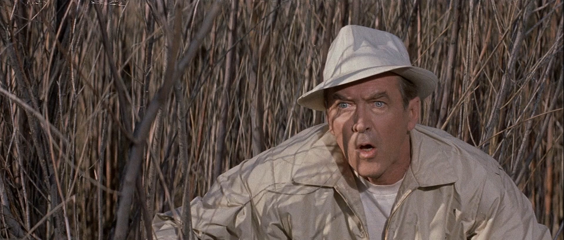 渡假留香剧照的剧照