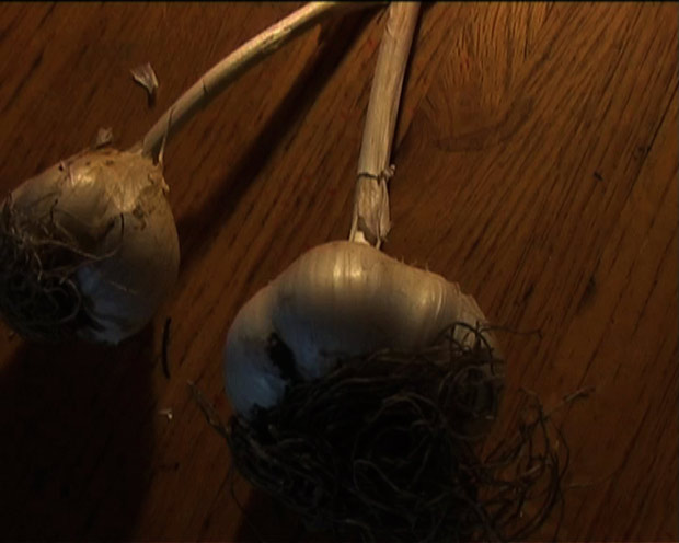 一千零一无眠夜剧照的剧照