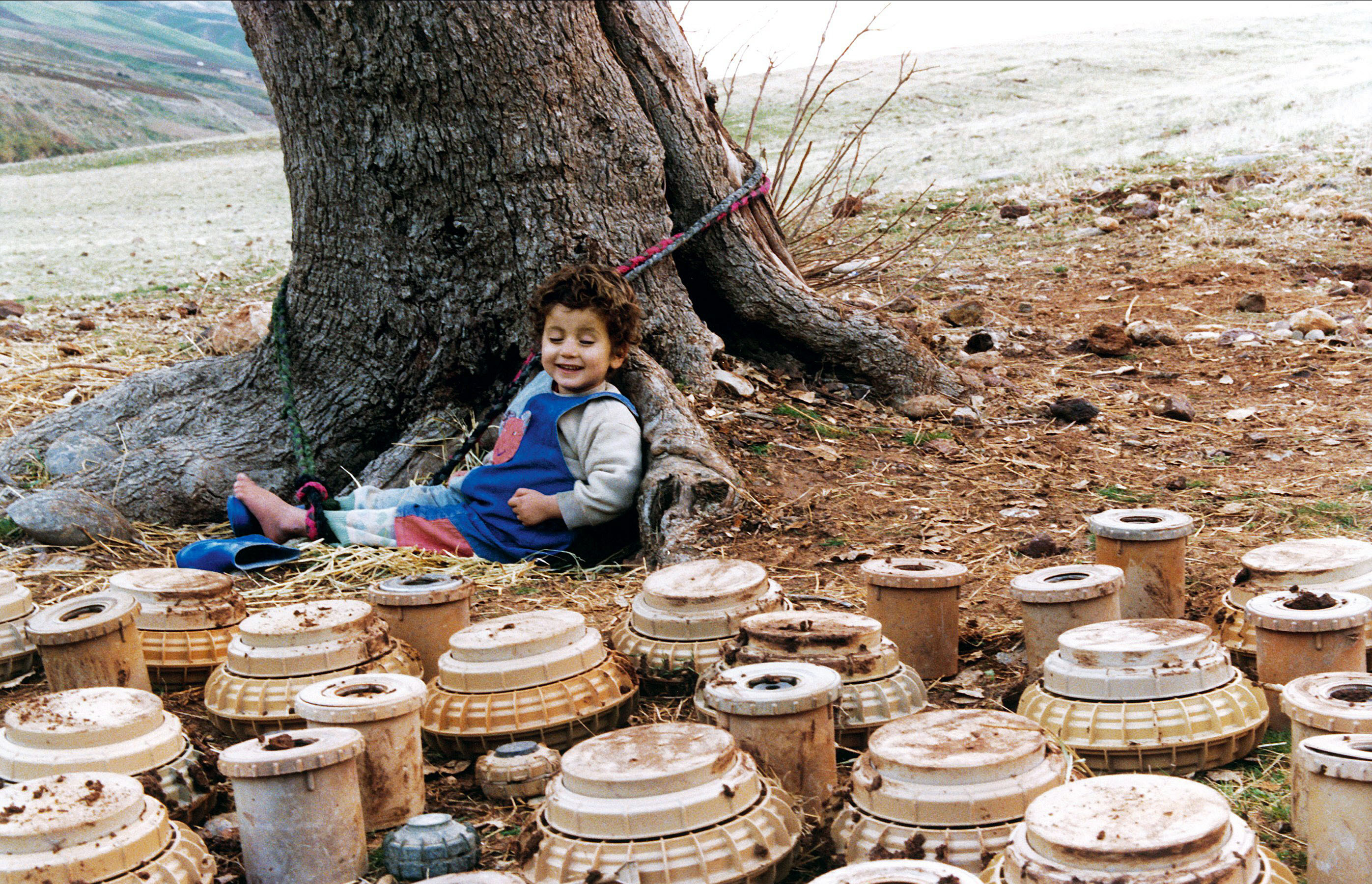 乌龟也会飞剧照的剧照