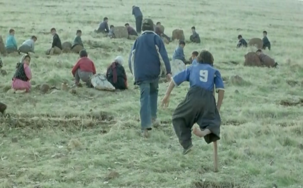 乌龟也会飞剧照的剧照