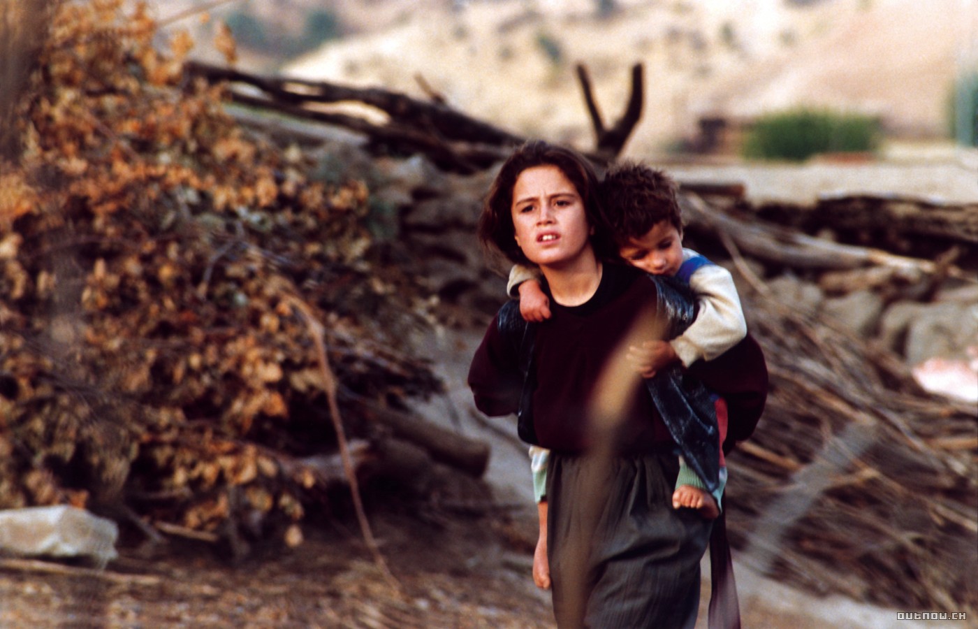 乌龟也会飞剧照的剧照