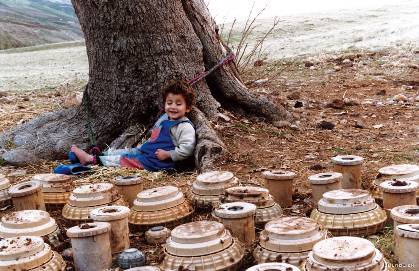 乌龟也会飞剧照的剧照