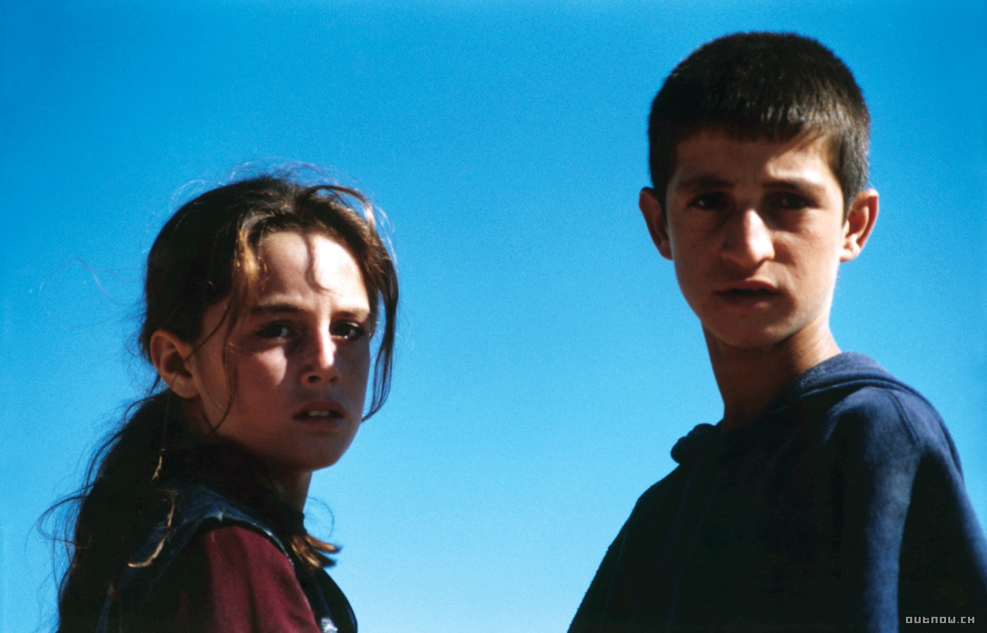 乌龟也会飞剧照的剧照