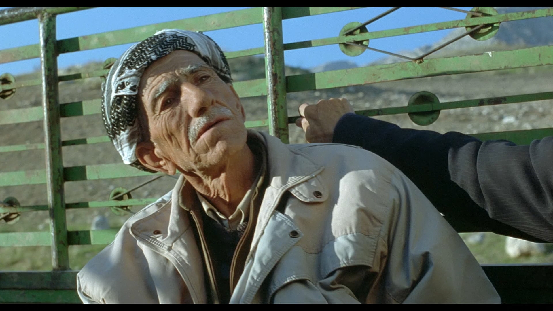 乌龟也会飞剧照的剧照