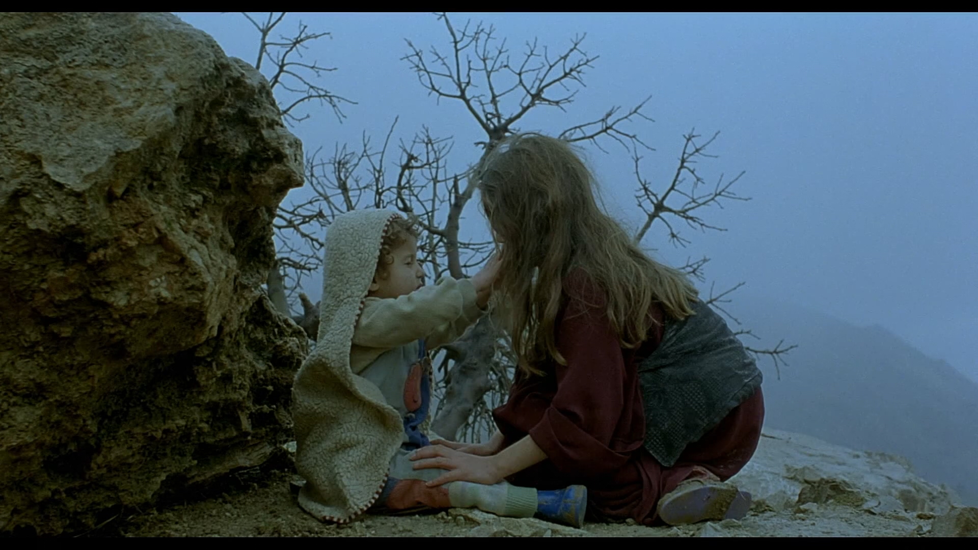 乌龟也会飞剧照的剧照