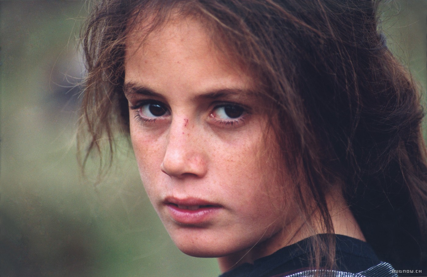 乌龟也会飞剧照的剧照