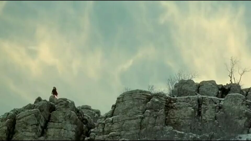 乌龟也会飞剧照的剧照