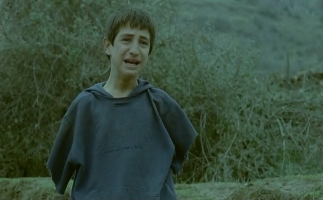 乌龟也会飞剧照的剧照