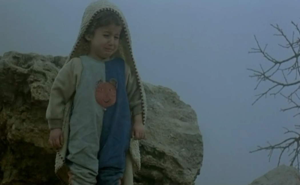 乌龟也会飞剧照的剧照