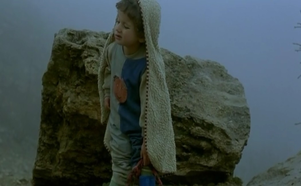 乌龟也会飞剧照的剧照