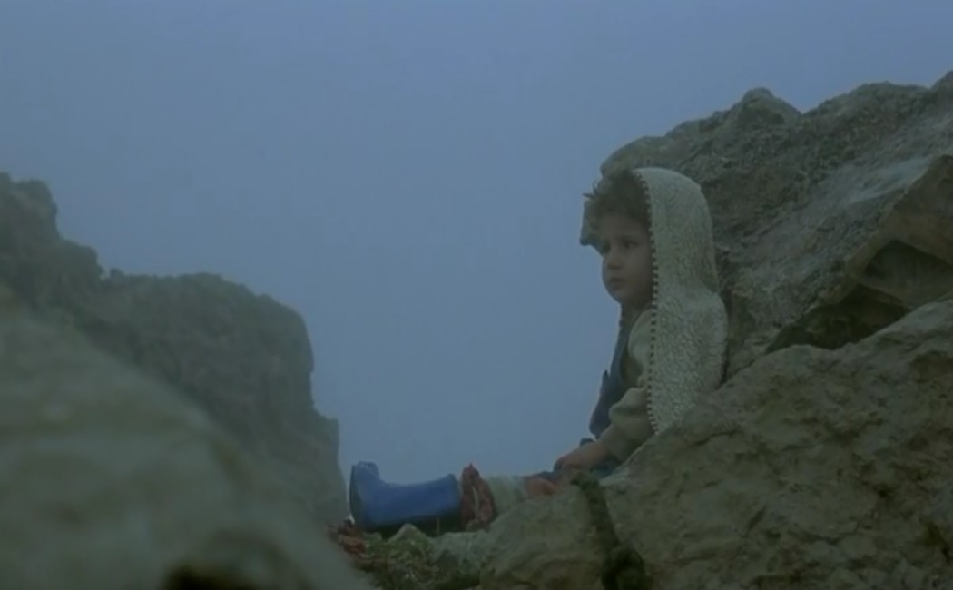 乌龟也会飞剧照的剧照