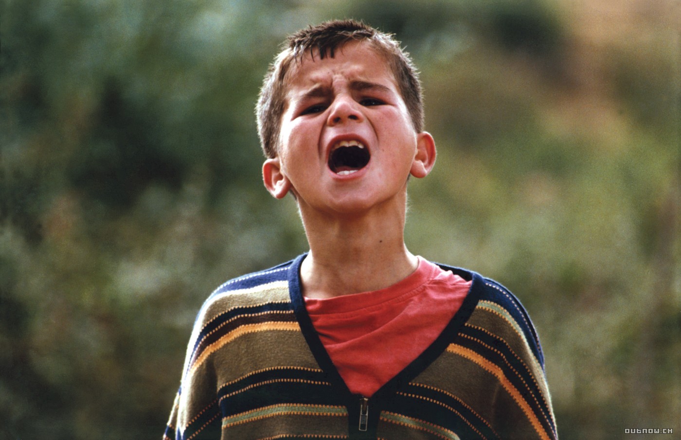 乌龟也会飞剧照的剧照