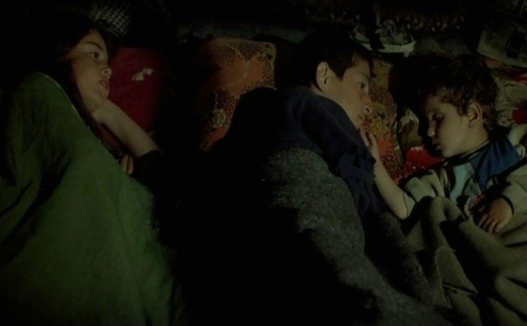 乌龟也会飞剧照的剧照